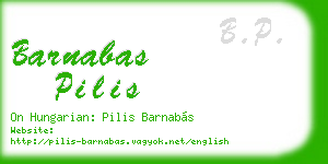 barnabas pilis business card